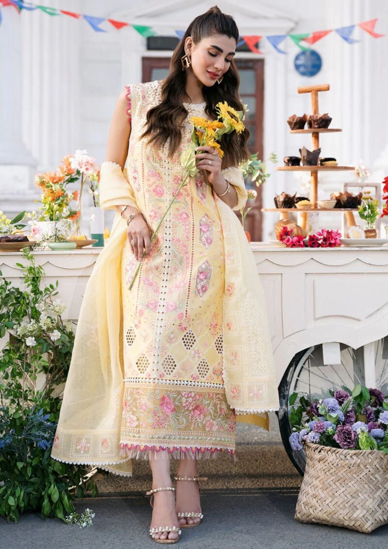 Bin Ilyas Clara Il24 213 A Lawn Collection