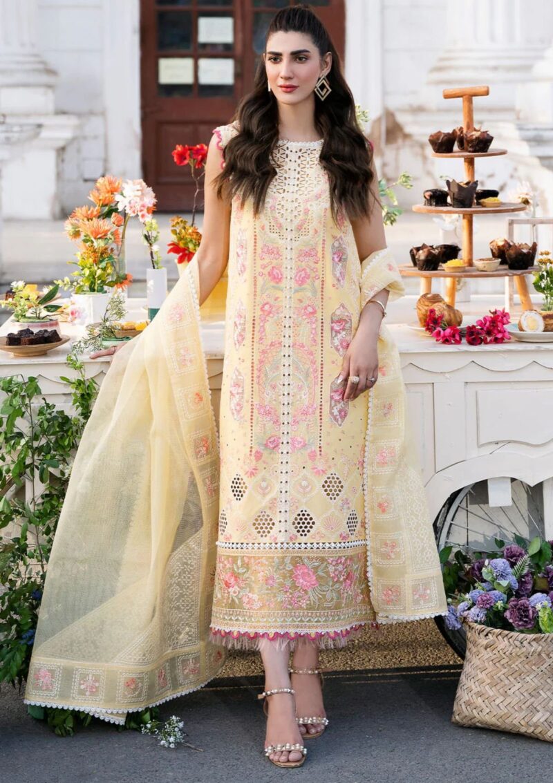 Bin Ilyas Clara Il24 213 A Lawn Collection