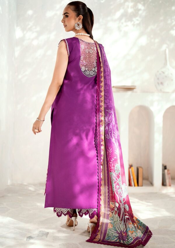 Bin Ilyas Riwaayat Spring Summer Rsp24 301 B Lawn Collection