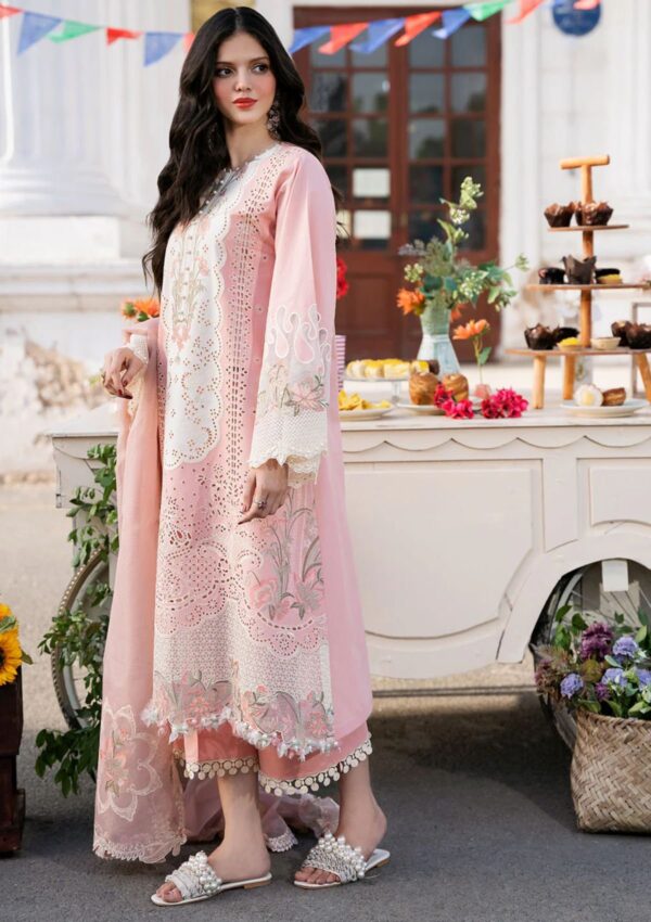 Bin Ilyas Clara Il24 216 B Lawn Collection