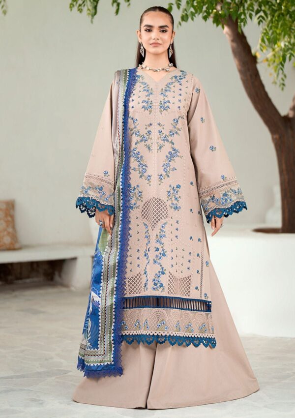 Bin Ilyas Riwaayat Spring Summer Rsp24 304 B Lawn Collection