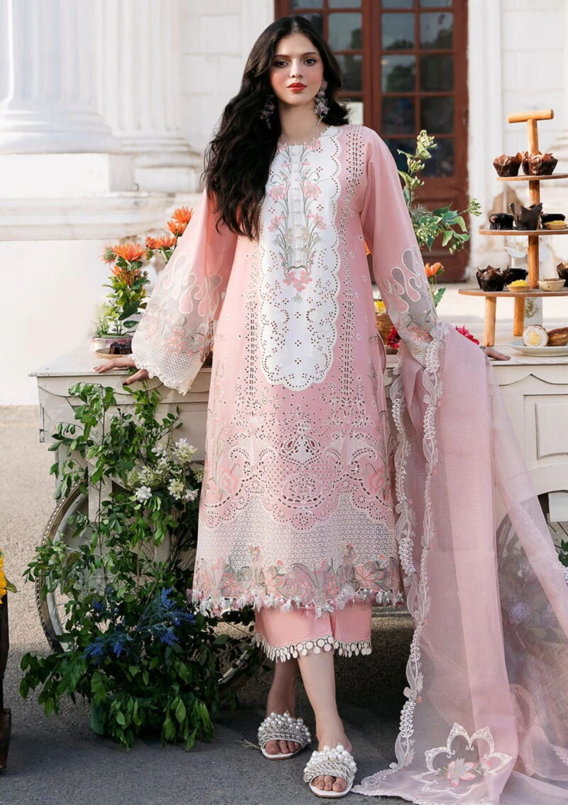 Bin Ilyas Clara Il24 216 B Lawn Collection