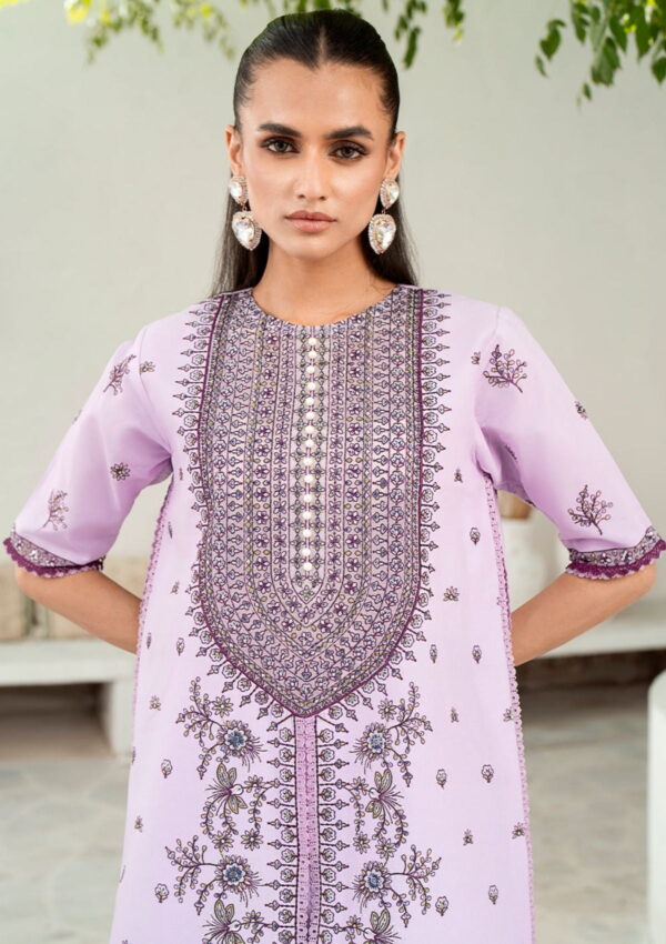 Bin Ilyas Riwaayat Spring Summer Rsp24 303 B Lawn Collection