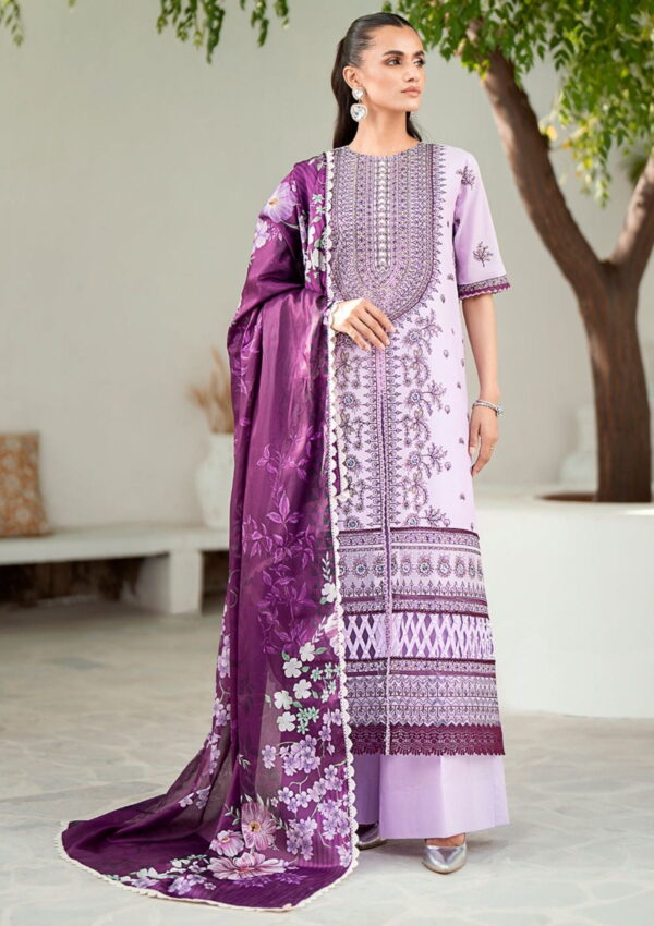 Bin Ilyas Riwaayat Spring Summer Rsp24 303 B Lawn Collection