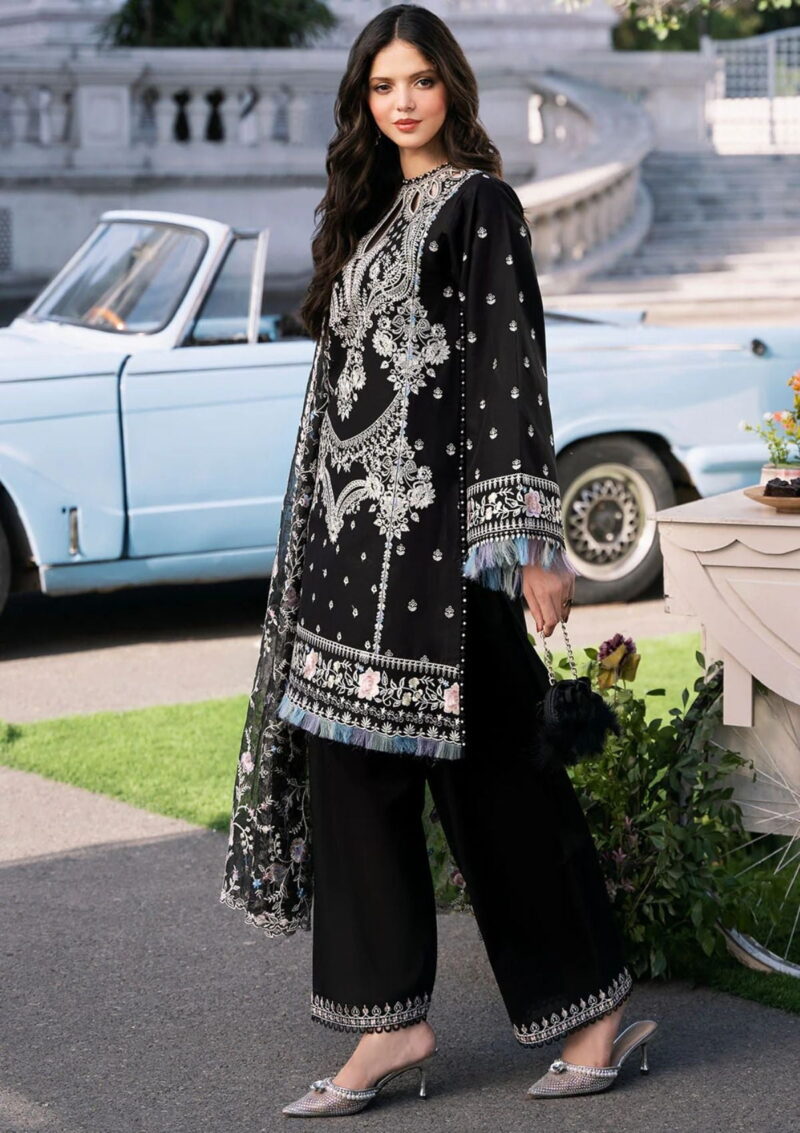 Bin Ilyas Clara Il24 214 B Lawn Collection