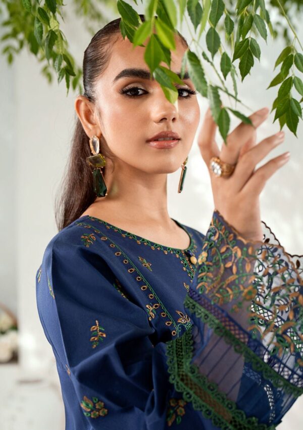 Bin Ilyas Riwaayat Spring Summer Rsp24 302 B Lawn Collection