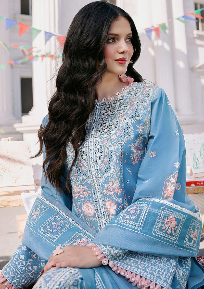 Bin Ilyas Clara Il24 212 B Lawn Collection