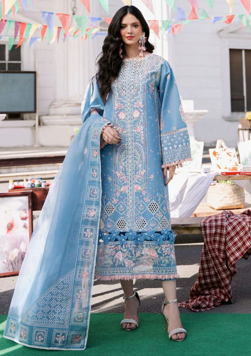 Bin Ilyas Clara Il24 212 B Lawn Collection