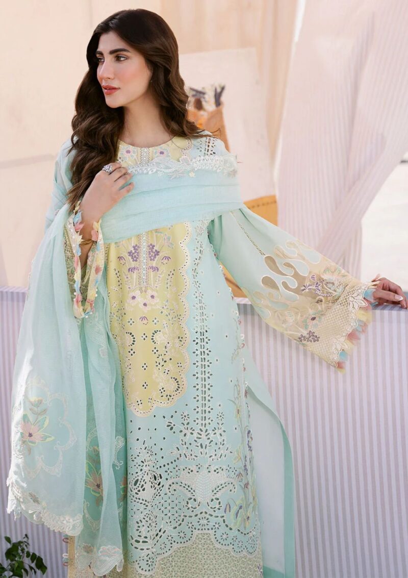 Bin Ilyas Clara Il24 217 A Lawn Collection