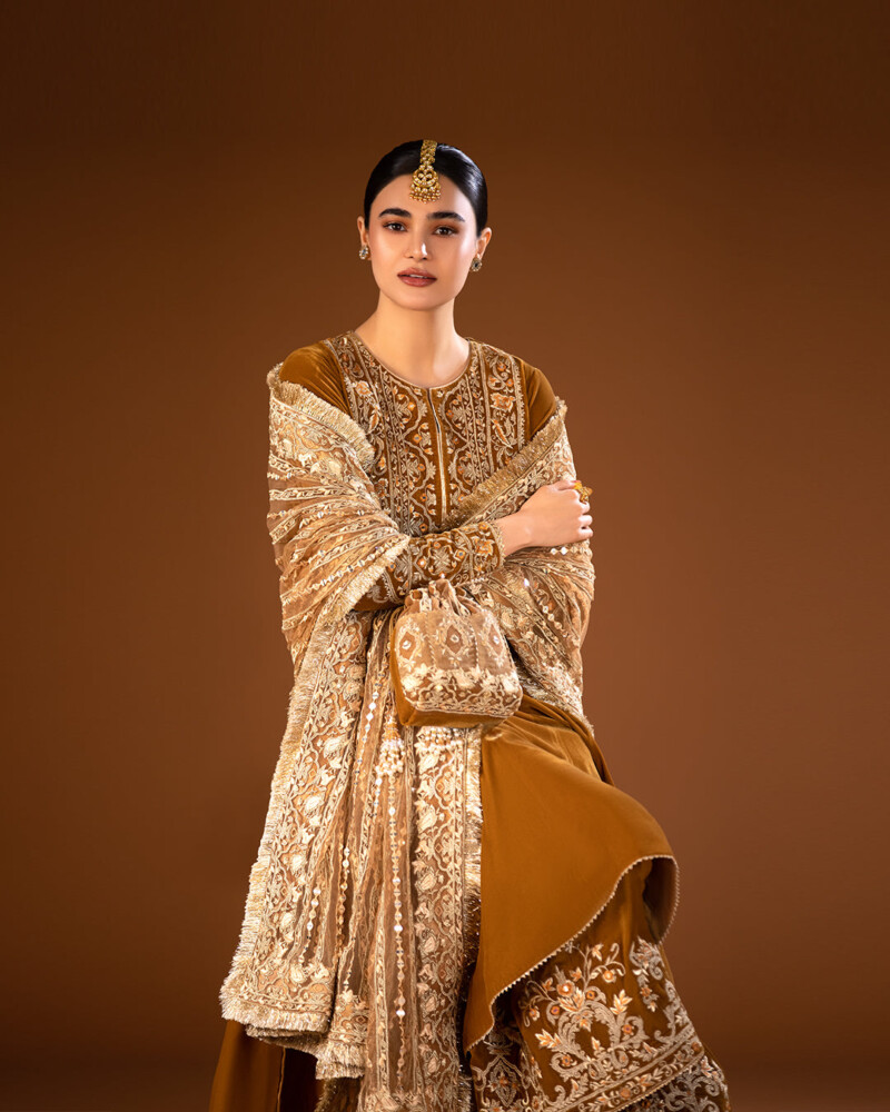 product Faiza Saqlain Maah-Paara Luxe Formals