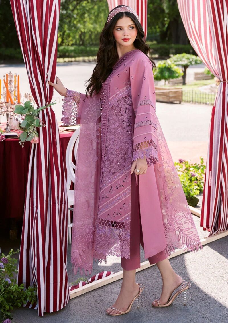 Bin Ilyas Clara Il24 215 B Lawn Collection