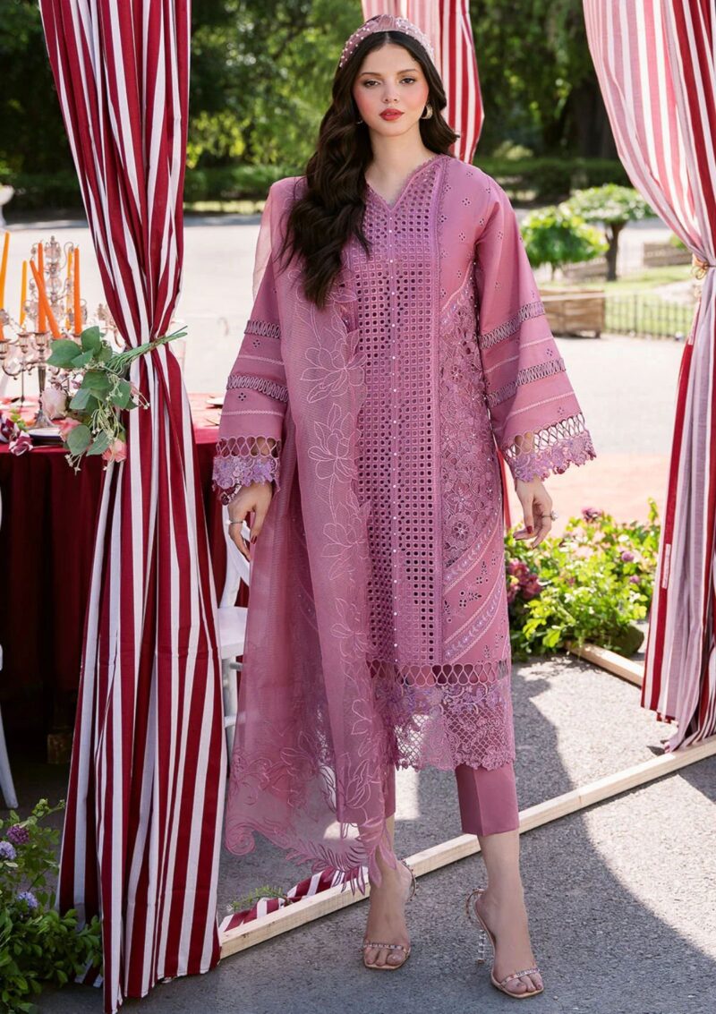 Bin Ilyas Clara Il24 215 B Lawn Collection