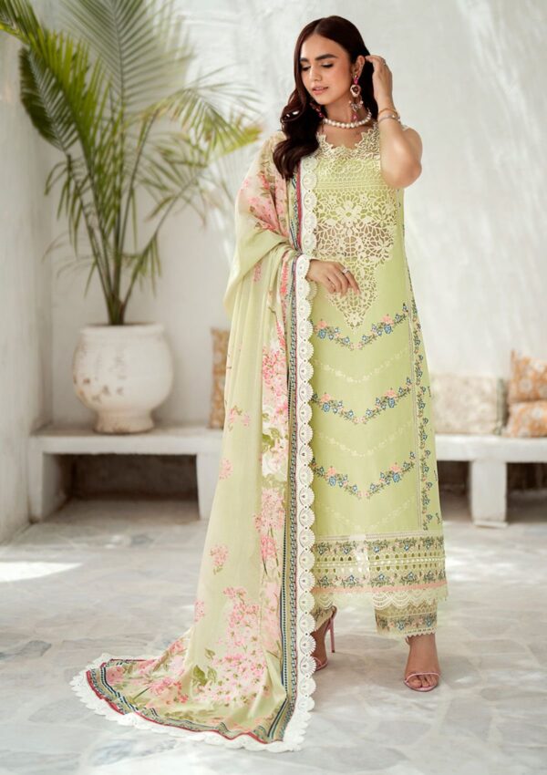 Bin Ilyas Riwaayat Spring Summer Rsp24 306 B Lawn Collection