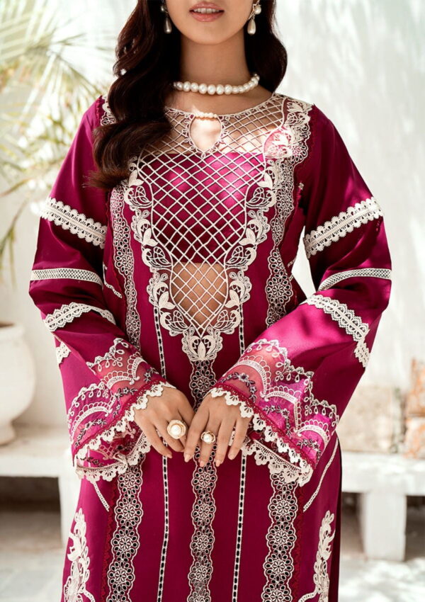 Bin Ilyas Riwaayat Spring Summer Rsp24 308 B Lawn Collection