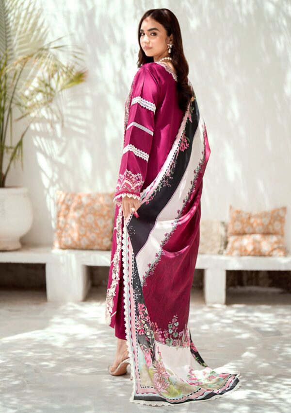 Bin Ilyas Riwaayat Spring Summer Rsp24 308 B Lawn Collection