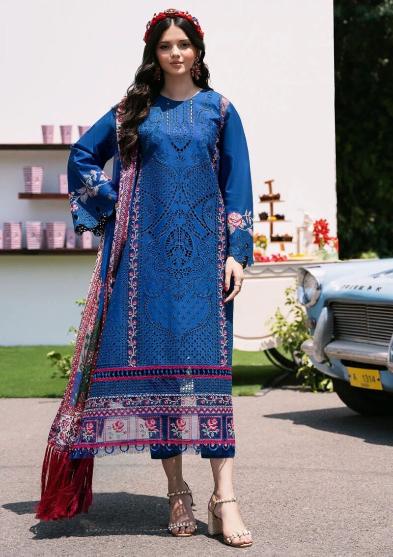 Bin Ilyas Clara Il24 217 B Lawn Collection