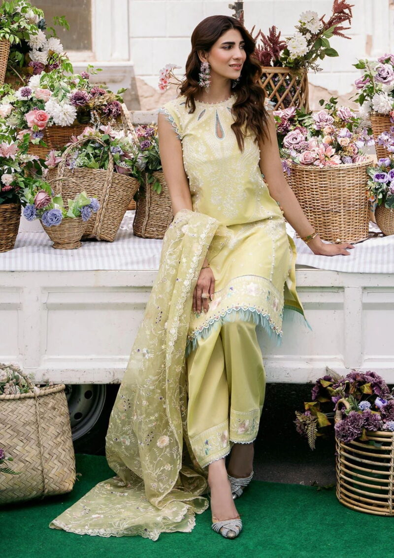 Bin Ilyas Clara Il24 215 A Lawn Collection