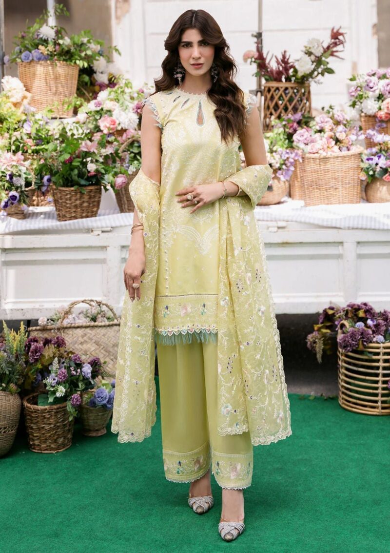 Bin Ilyas Clara Il24 215 A Lawn Collection