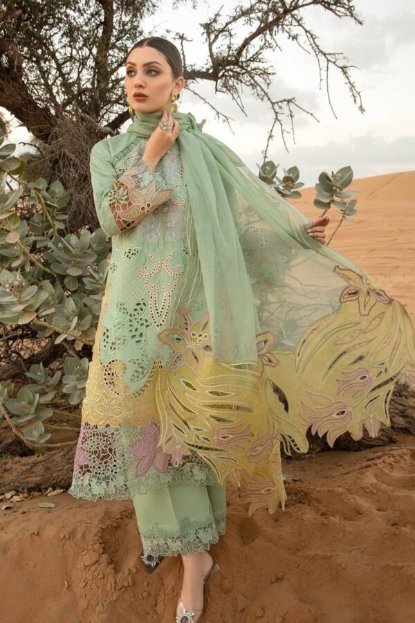 Rang Rasiya Elnaz Premium Lawn Suit Collection 24