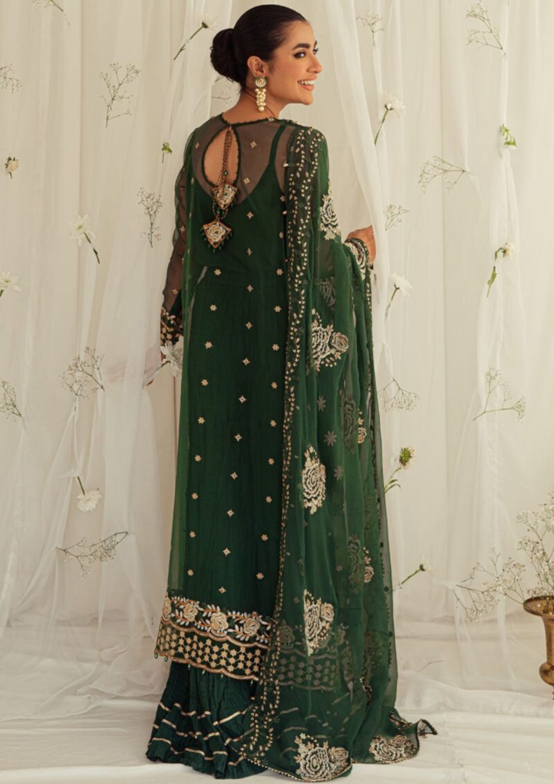 Mah'e Rooh Husn E Sani Hs 4101 Formal Collection