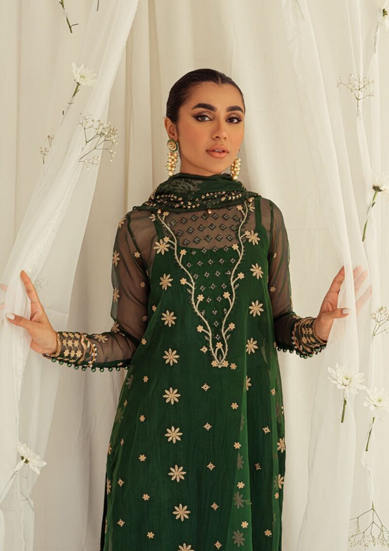 Mah'e Rooh Husn E Sani Hs 4101 Formal Collection