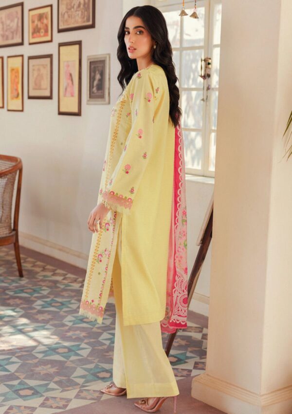 Raj Bari Essentials Rbe24 01 Lawn Collection 24