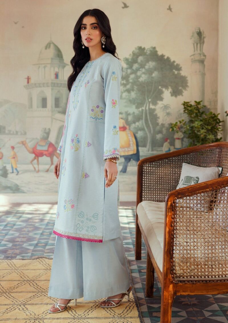 Raj Bari Essentials RBE24 10 Lawn Collection 24