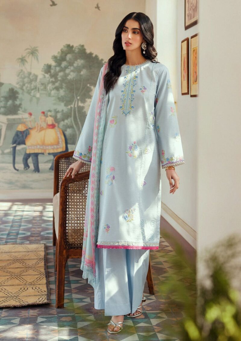 Raj Bari Essentials RBE24 10 Lawn Collection 24