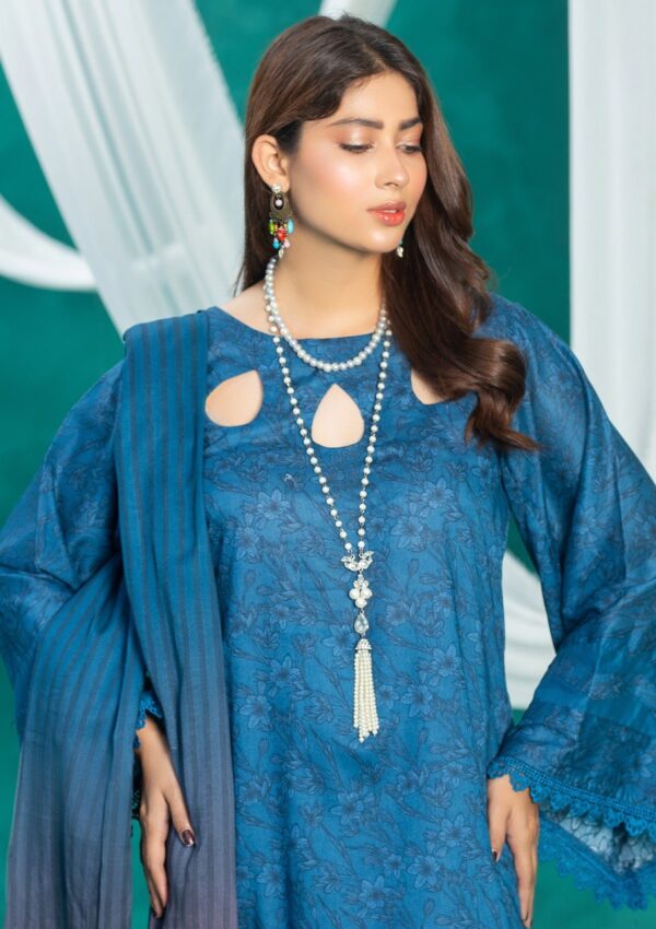 Humdum Ha24 06 Aangan Lawn Collection