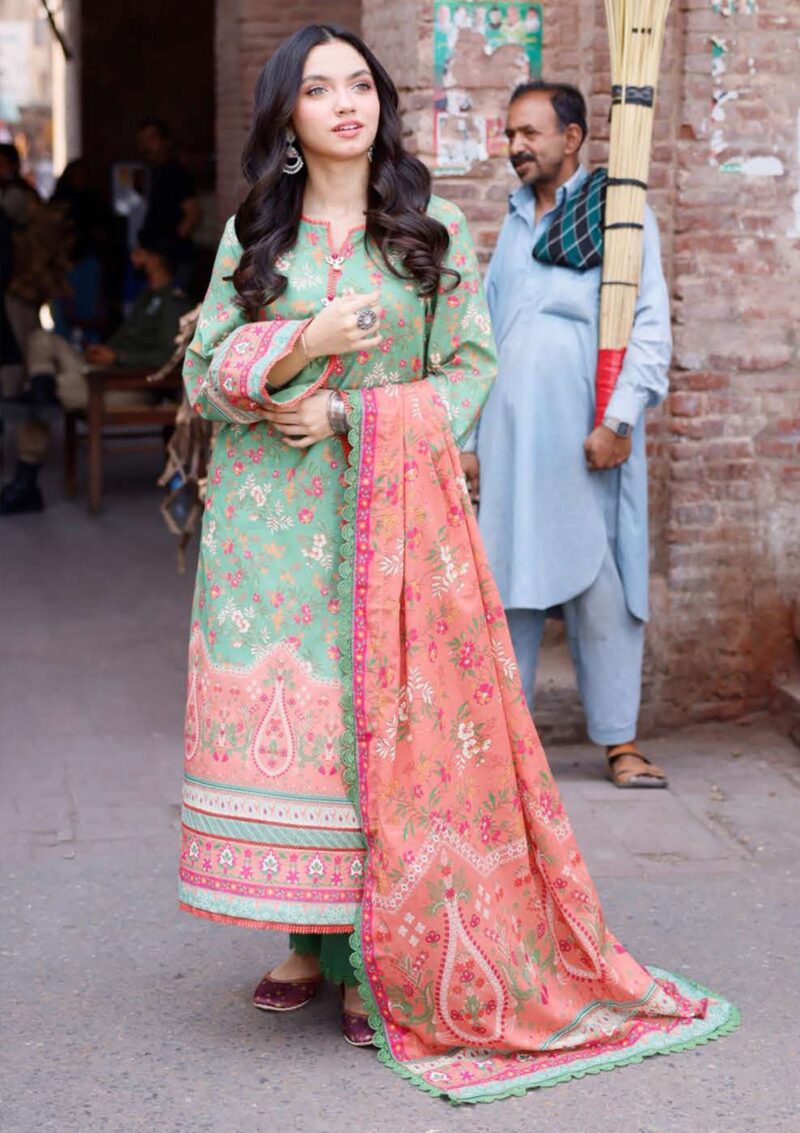 Asim Jofa Basic Prints 24 Ajbb 13 Lawn Collection