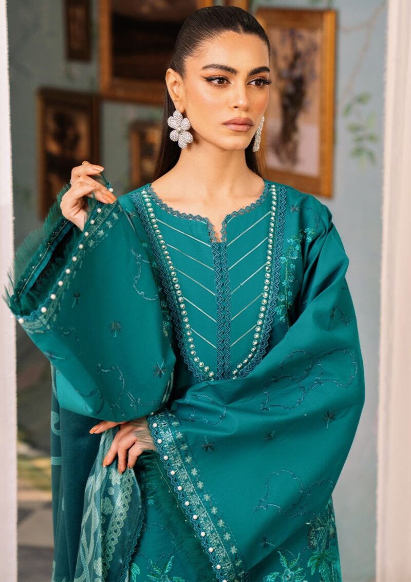 Bin Ilyas La Hira Bih 207 B Lawn Collection