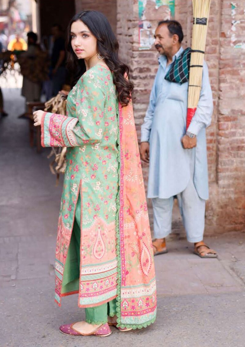 Asim Jofa Basic Prints 24 Ajbb 13 Lawn Collection