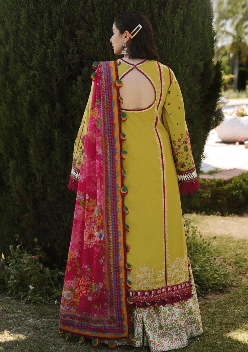 Hussain Rehar Ss 24 D 494 Pune Lawn Collection