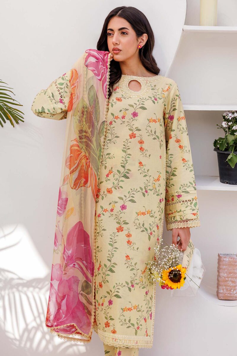 Sunnia Manahil Avi Vol Ii Koya Collection 24