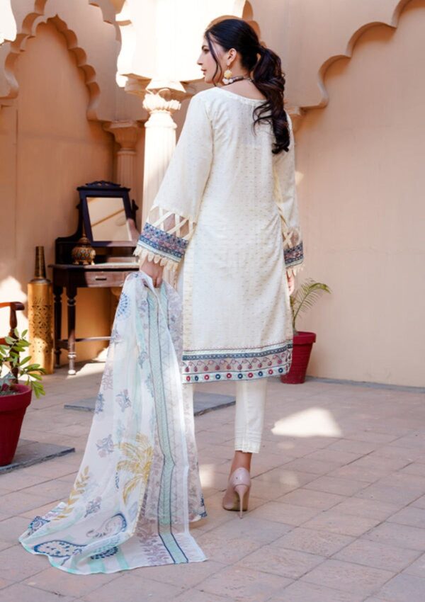 Noor Jahan Kohenoor KN24 11 Lawn Collection 24