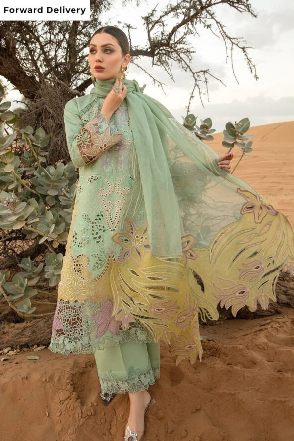 Rang Rasiya Elnaz Embroidered Luxury Lawn 3Pc Suit