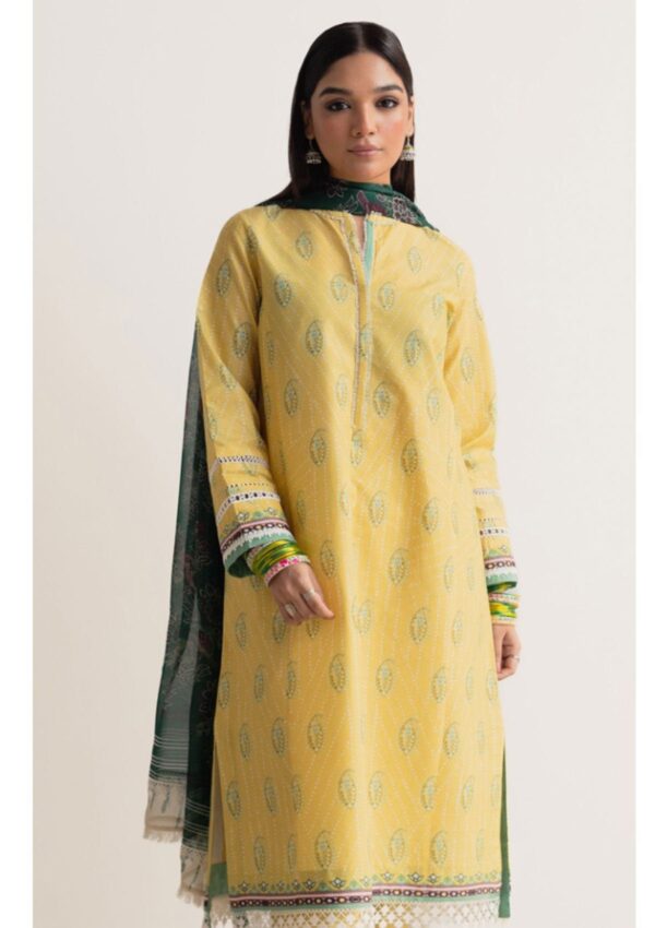 Bin Ilyas Clara Il24 211 A Lawn Collection