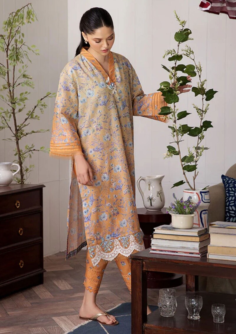 product Sobia Nazir Sb24 04 A Basics Lawn Collection