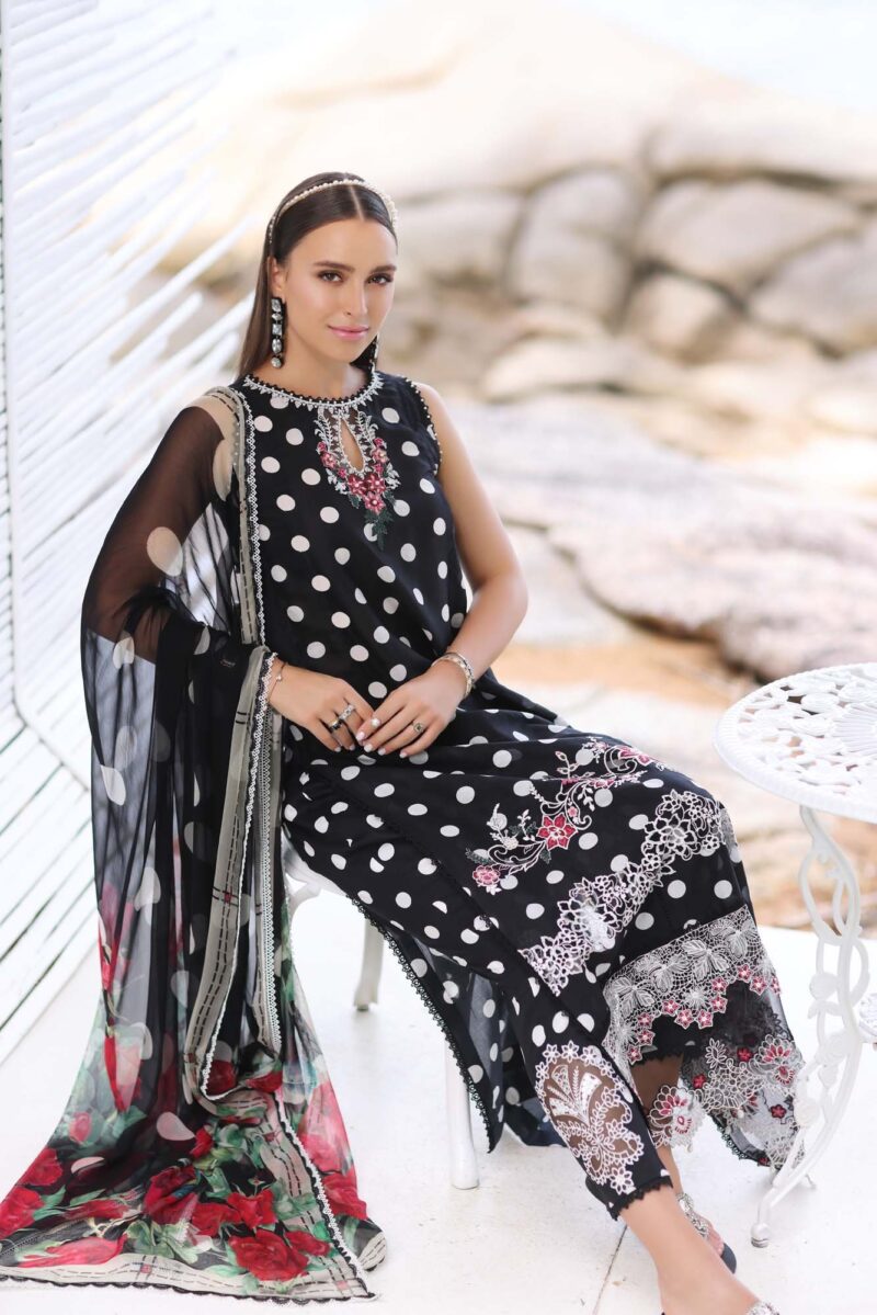 Noor By Saadia Asad D6a Luxe Printkari Collection 24