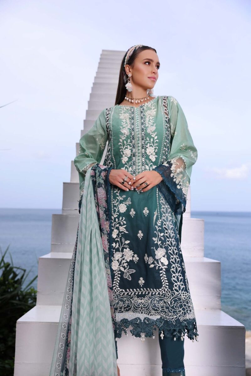 Noor By Saadia Asad D2a Luxe Printkari Collection 24