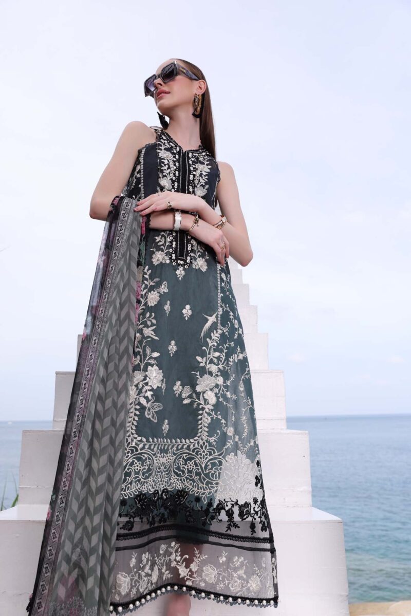 Noor By Saadia Asad D2b Luxe Printkari Collection 24