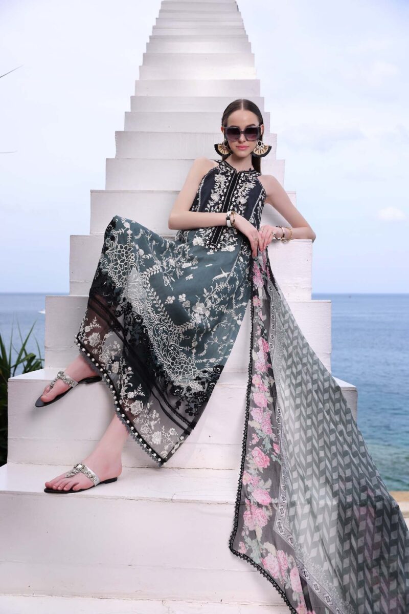 Noor By Saadia Asad D2b Luxe Printkari Collection 24