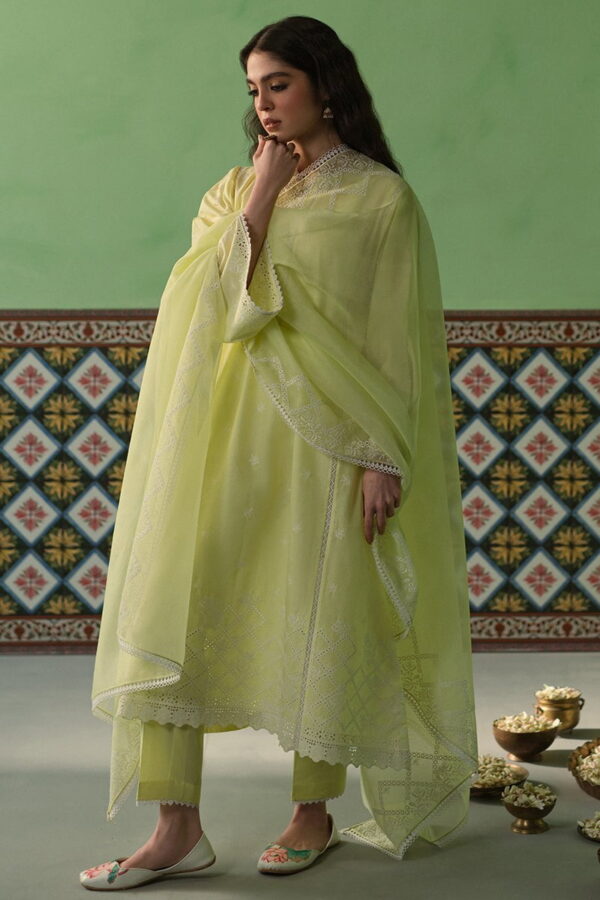 Cross Stitch Daffodil Blane 3 Piece Chikankari Suit