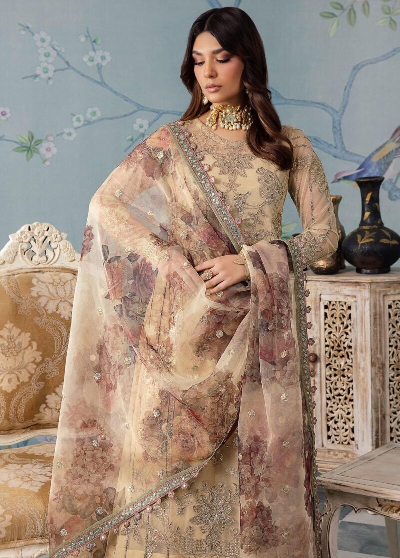 Iznik Chinon Cc-31 Alya Embroidered Net 3pc Suit Collection 2024