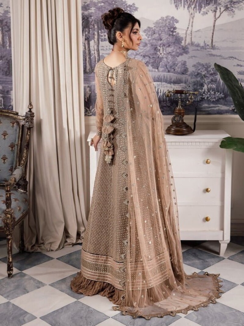 Iznik Chinon Cc-36 Damiyah Embroidered Net 3pc Suit Collection 2024