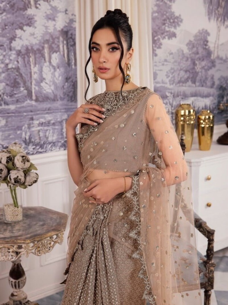 Iznik Chinon Cc-36 Damiyah Embroidered Net 3pc Suit Collection 2024