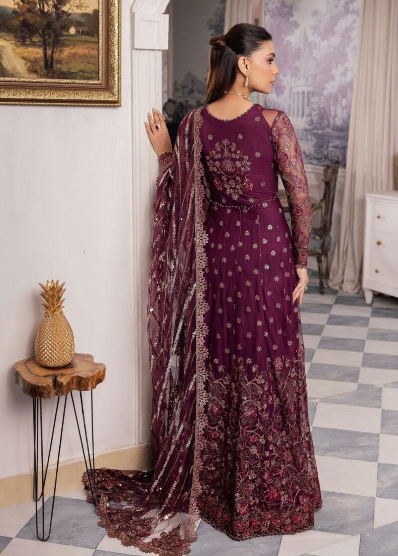 Iznik Chinon Cc-37 Aida Embroidered Net 3pc Suit Collection 2024