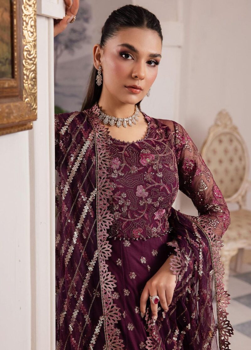 Iznik Chinon Cc-37 Aida Embroidered Net 3pc Suit Collection 2024