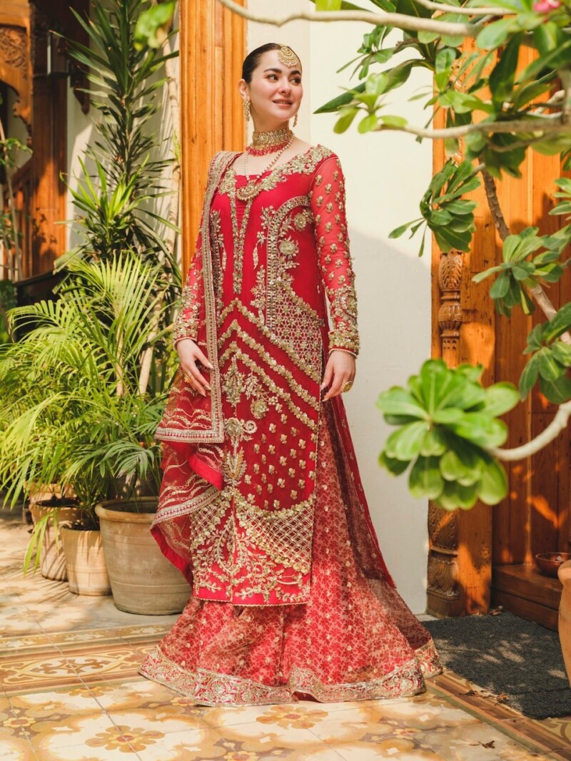 product Saira Shakira - Cayenne Embroidered Net Wedding Suit Collection 2024