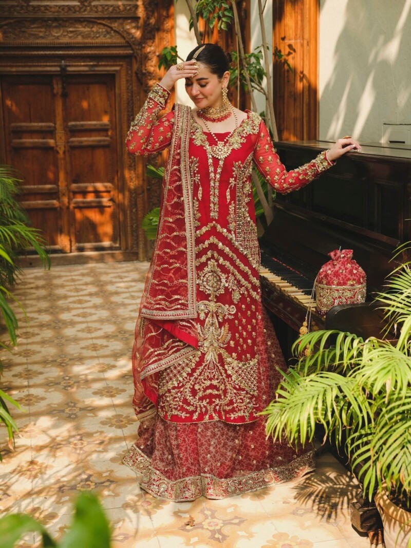 product Saira Shakira - Cayenne Embroidered Net Wedding Suit Collection 2024